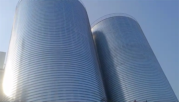 绿园2座混凝土高架卷板仓